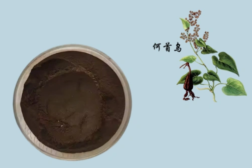 Bulk Fo-Ti Extract Powder Provides Natural Plant-Based Solutions for Functional Food and Personal Care Manufacturers